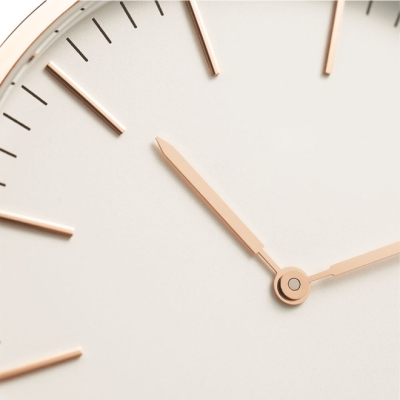 Daniel Wellington Classic Bristol Watch